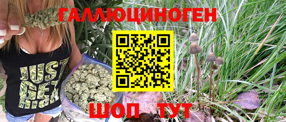 Псилоцибиновые грибы ЛСД Коммунар