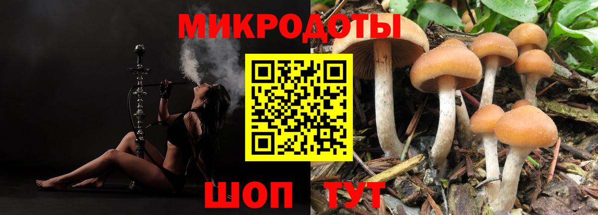 Галлюциногенные грибы Magic Shrooms  Вход с VPN  Коммунар  Псилоцибиновые грибы Magic Shrooms 